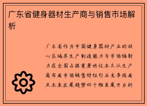 广东省健身器材生产商与销售市场解析